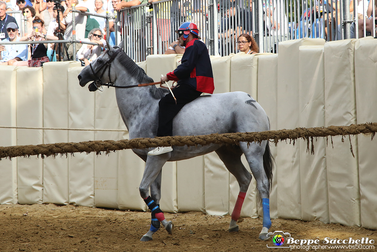 VBS_1116 - Palio di Asti 2024.jpg